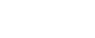 The Artist